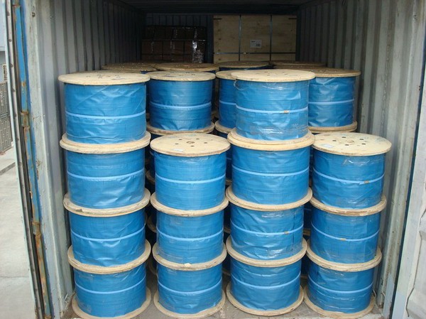 product-685-513 product-685-513